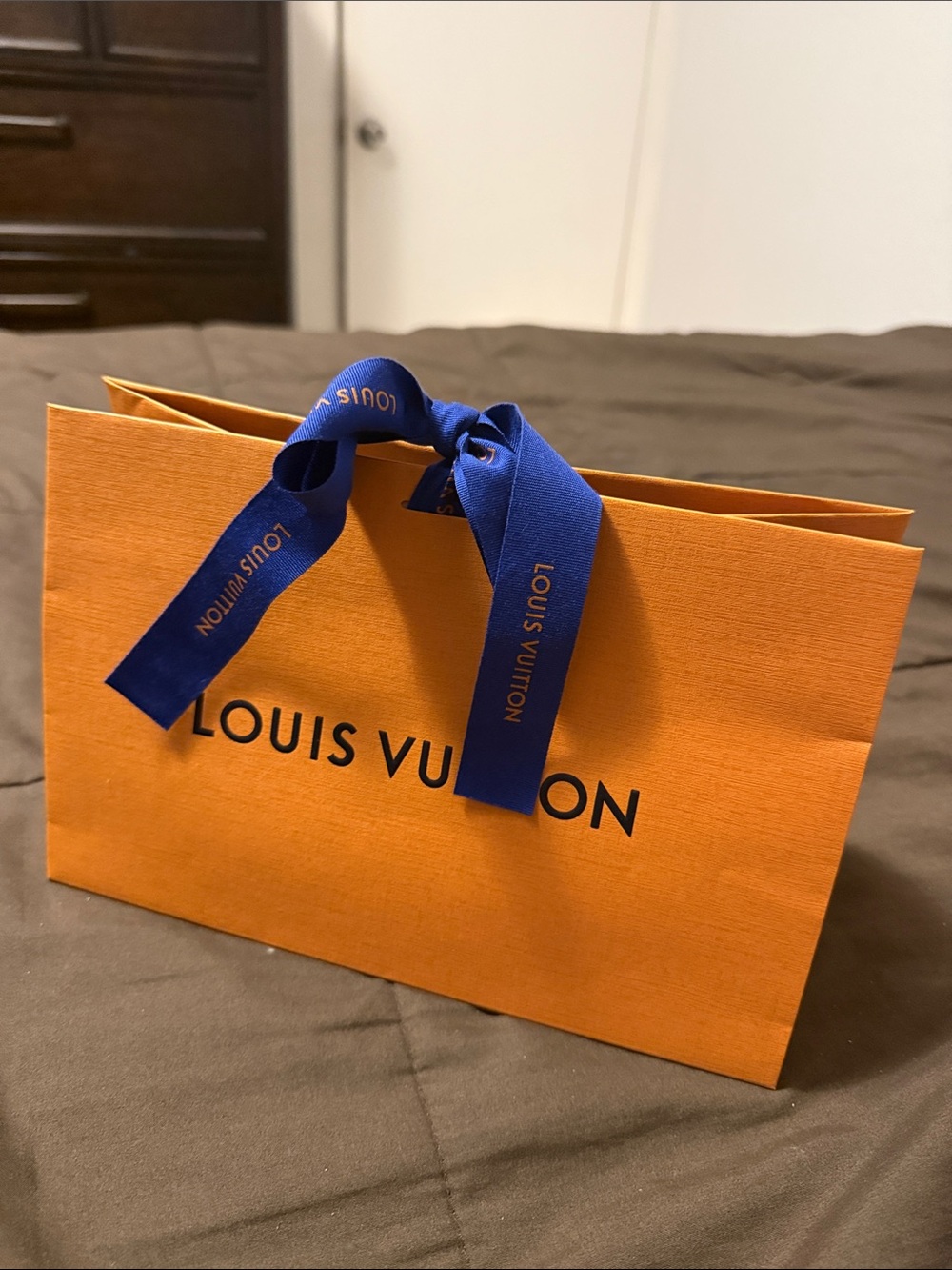Louis Vuitton Gift Bag w/Ribbon